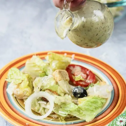 Copycat Olive Garden Salad Dressing - The Foodie and The Fix