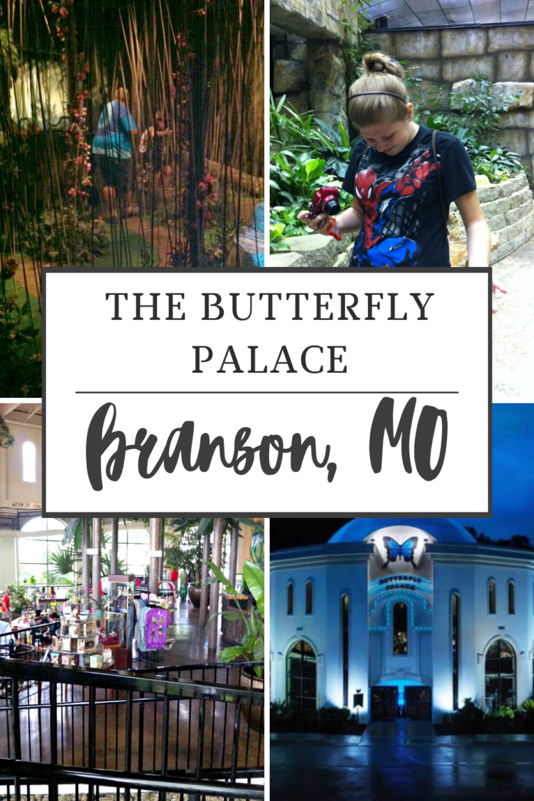Visit the Butterfly Palace in Branson Missouri