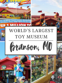 worlds largest toy museum