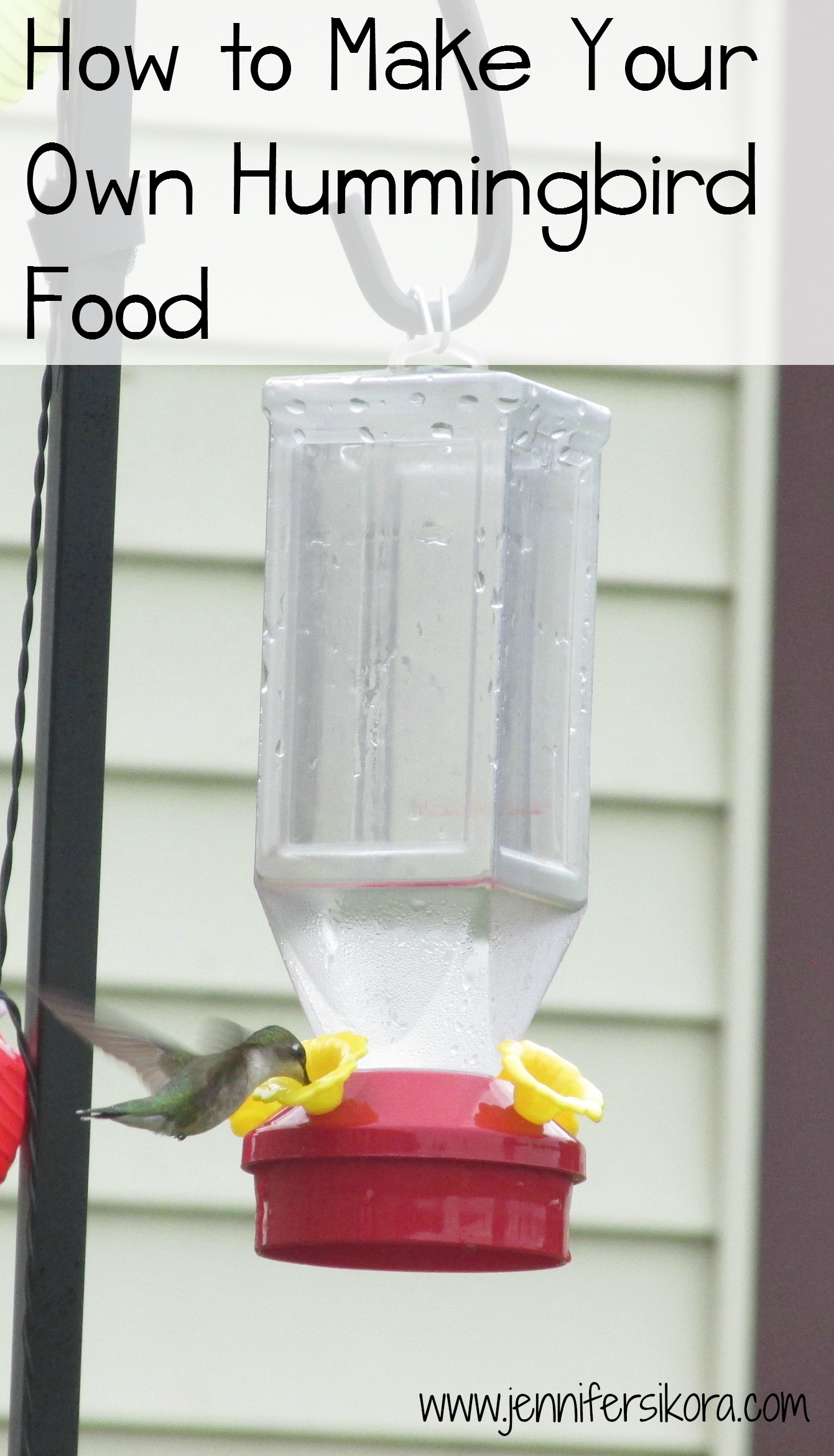 How to Make Your Own Hummingbird Food
