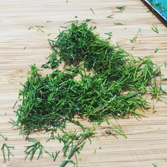 How to Grow Your Own Herb Garden - Jen Around the World