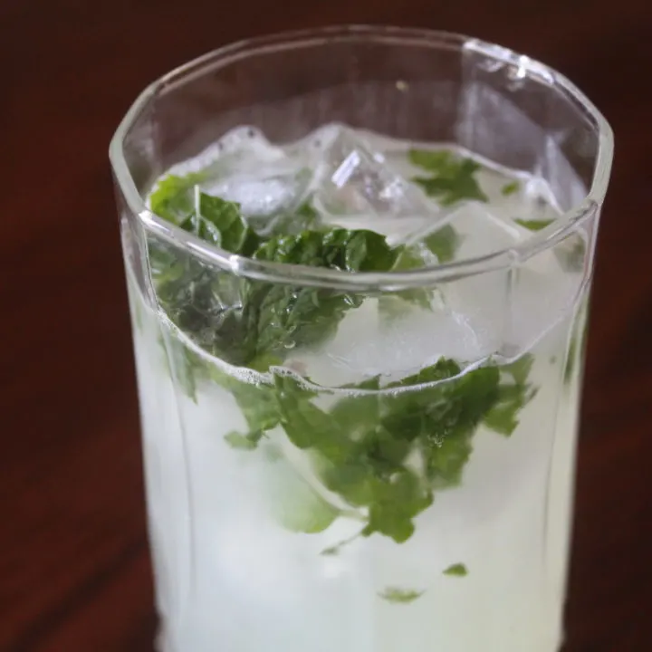 Mojito Mocktail