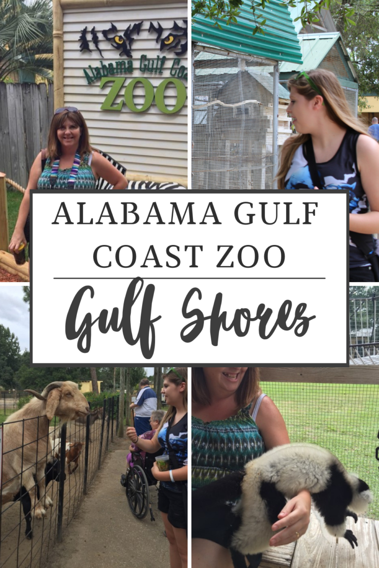 Visiting the Alabama Gulf Coast Zoo: A Wild Adventure in Gulf Shores