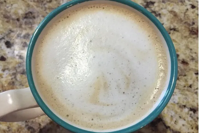 How to Make a Cappuccino with the Ninja Specialty Coffee Maker
