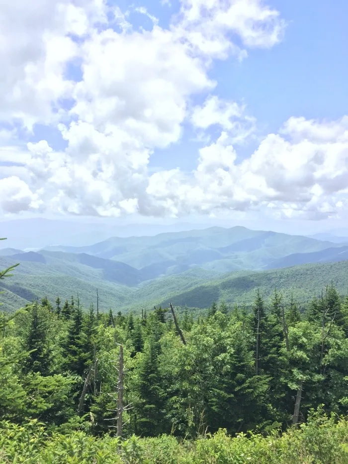 clingmans dome mountain view