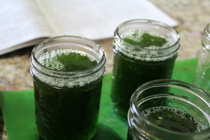 Homemade Green Pepper Jelly - Jen Around the World