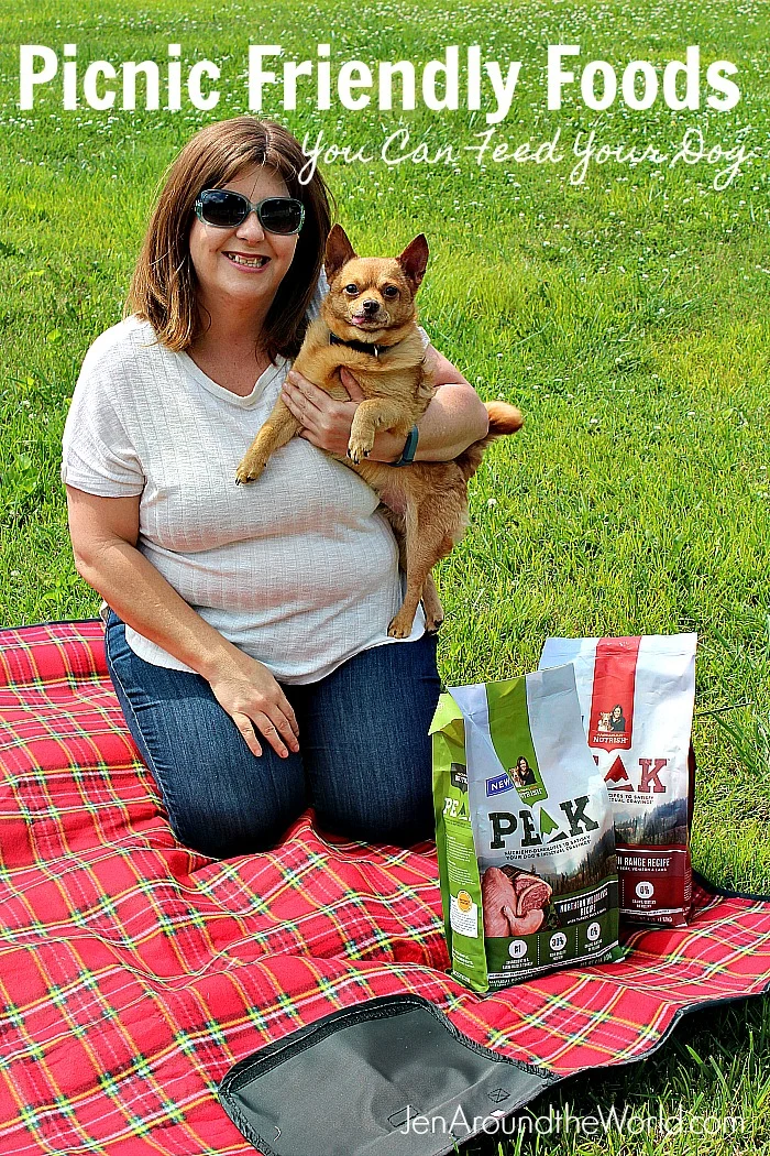 Picnic Friendly Foods You Can Feed Your Dog