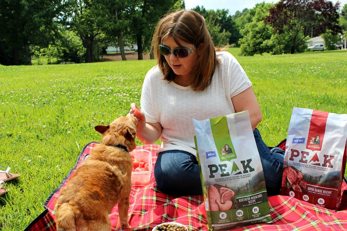 pet friendly picnic foods