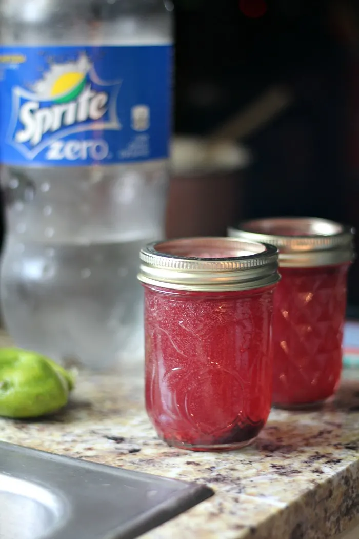 My Blackberry Mint Spritzer drink will quench your thirst!