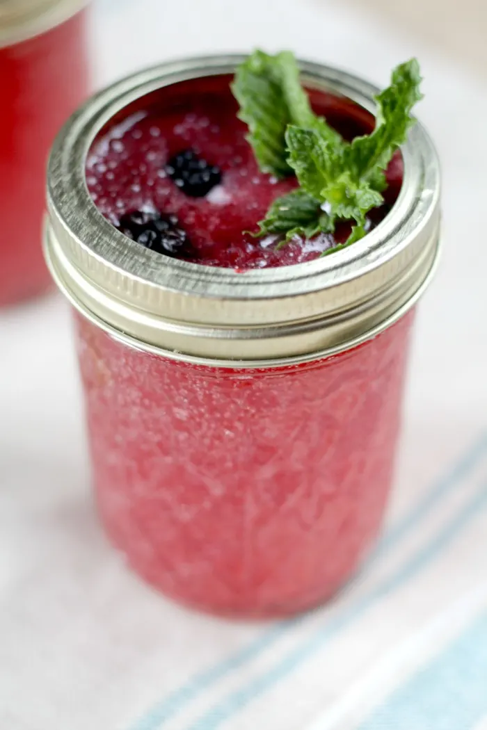 My Blackberry Mint Spritzer drink will quench your thirst!