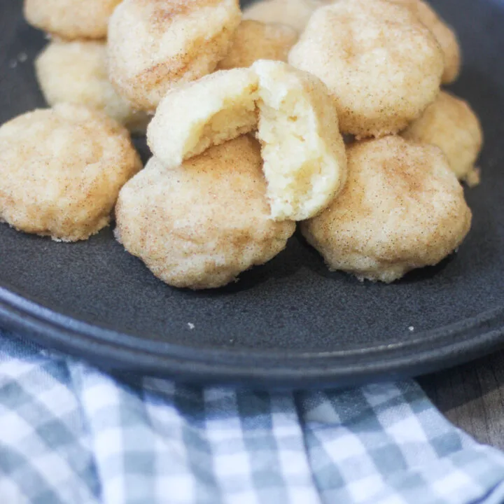 Quick and Easy Snickerdoodles 