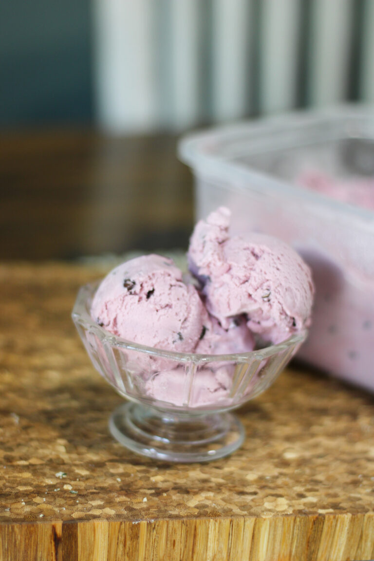 Blackberry Chocolate Chip Ice Cream