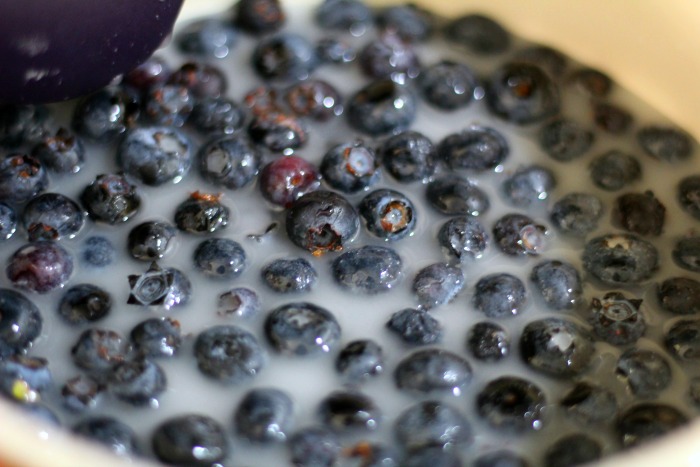 Quick and Easy Blueberry Sauce
