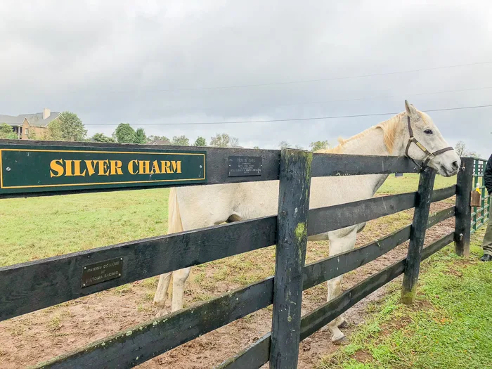 SILVER CHARM  Old Friend Equine