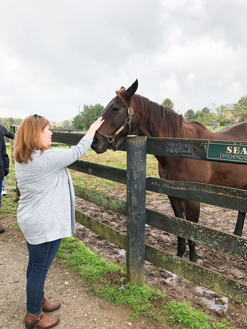 Old Friends Equine