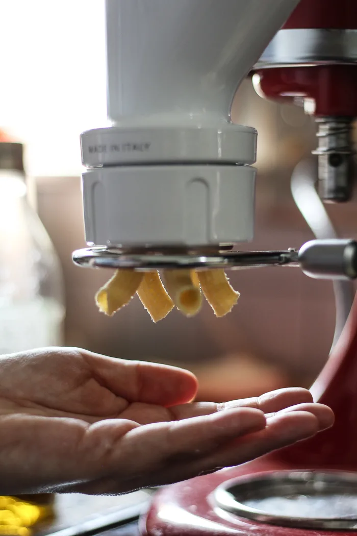 homemade pasta noodles