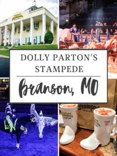 Dolly Parton's Stampede