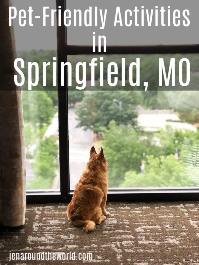 pet friendly springfield mo