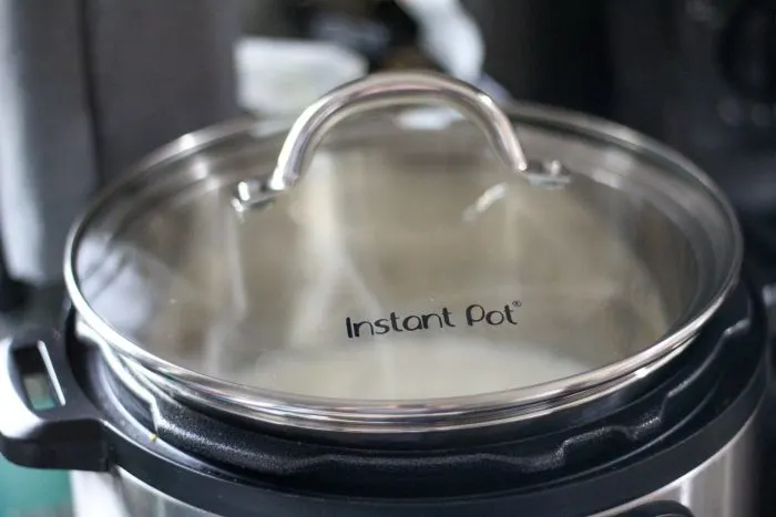 3 Ingredient Instant Pot Yogurt - Jen Around the World