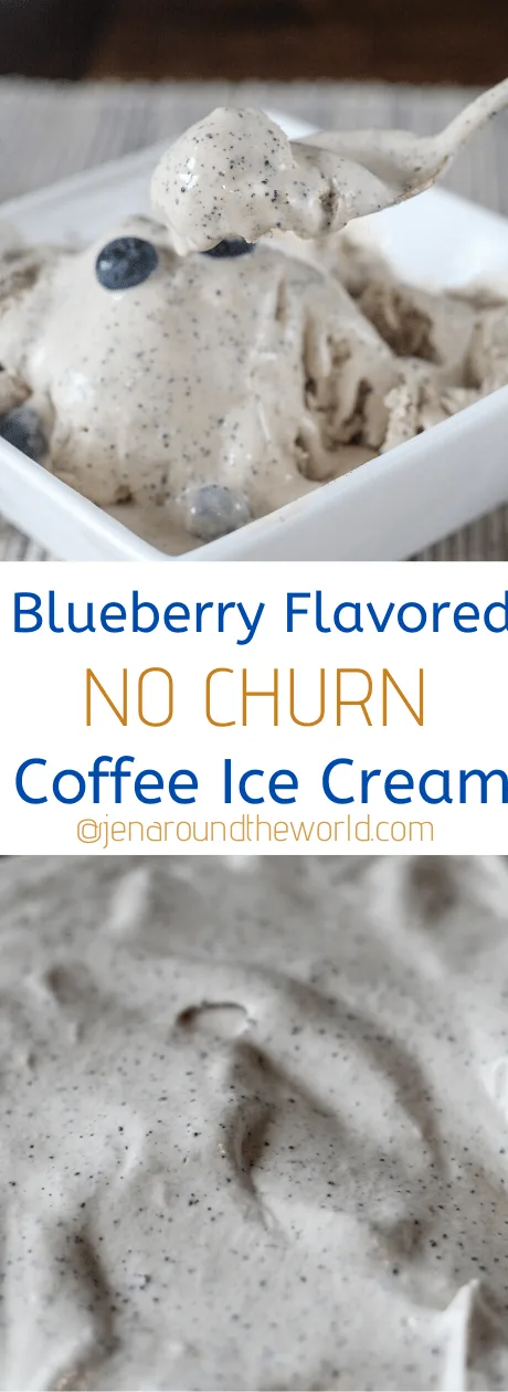 pin image  Blueberry Flavored No-Churn Coffee Ice Cream