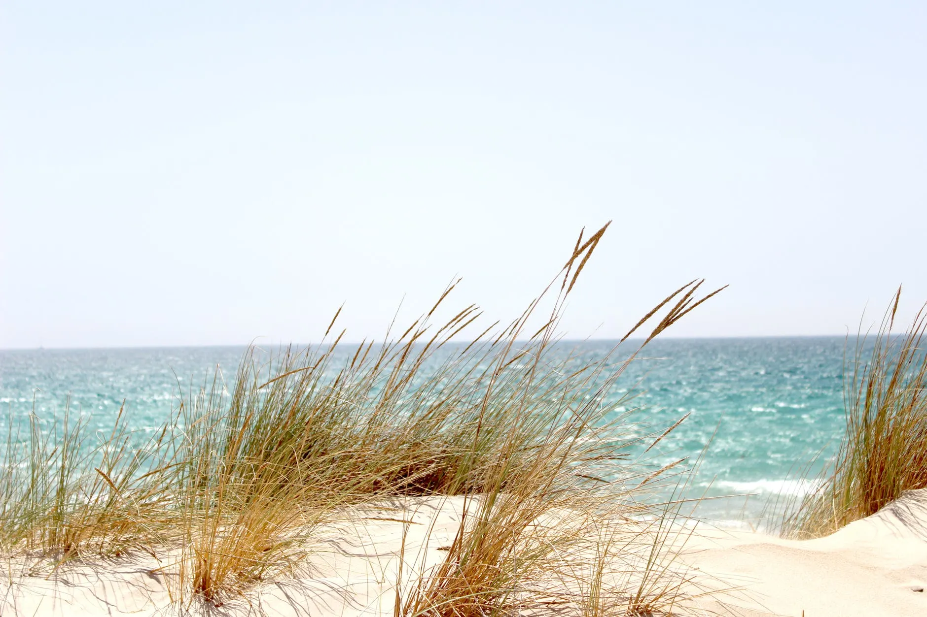 beach area 5 Alabama Gulf Coast Beach Houses Perfect for Your Vacation