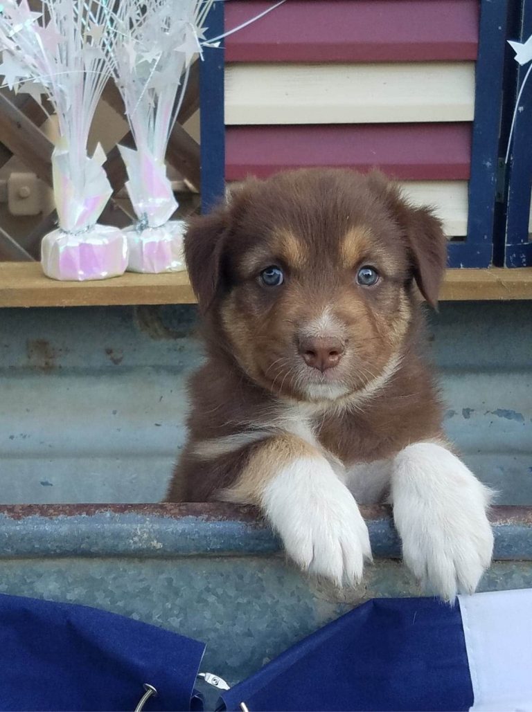 welcome to the family milo