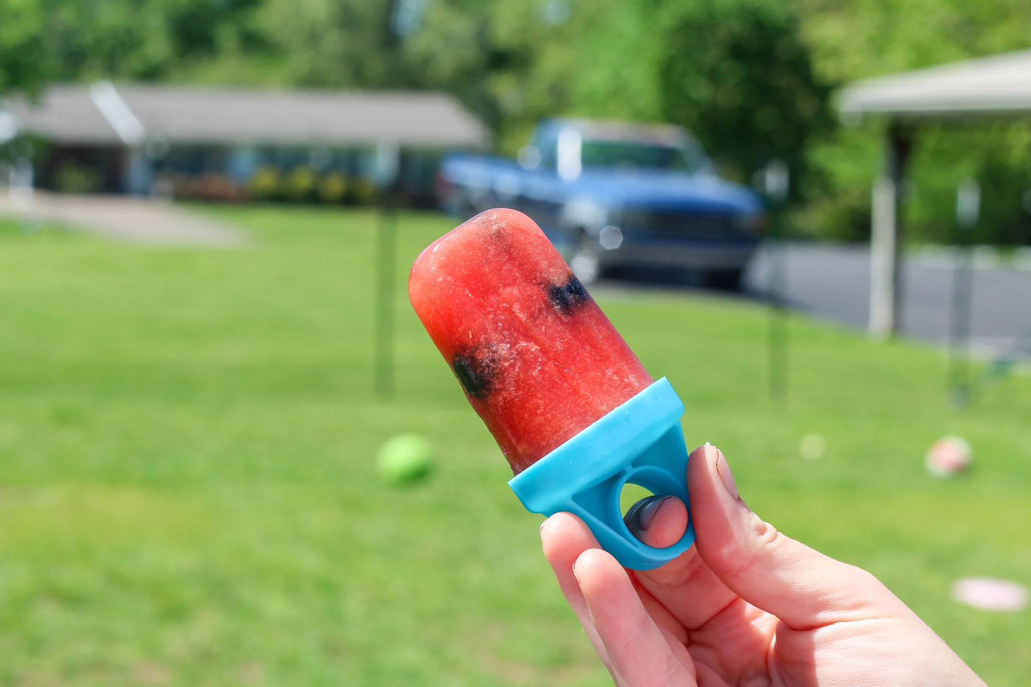 Blueberry Popsicles For Dogs (Pupsicles) - Spoiled Hounds