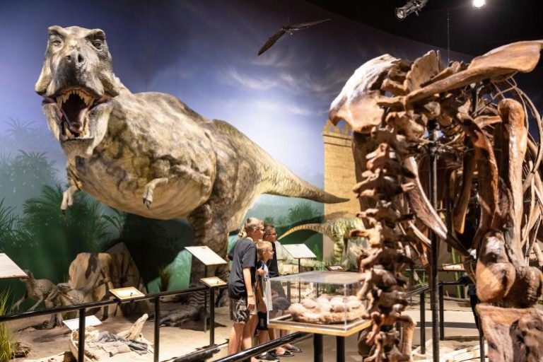 10 Things You Need to See at the Creation Museum