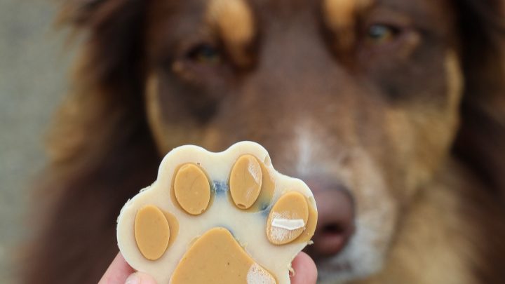 Banana Frozen Dog Treats to keep your Dog cool this Summer