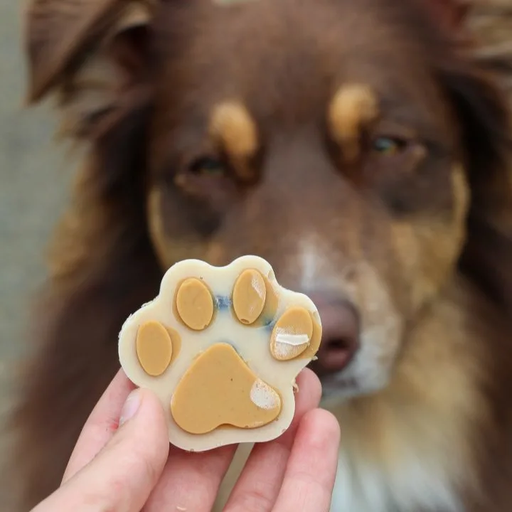 Dog treats with clearance yogurt and peanut butter