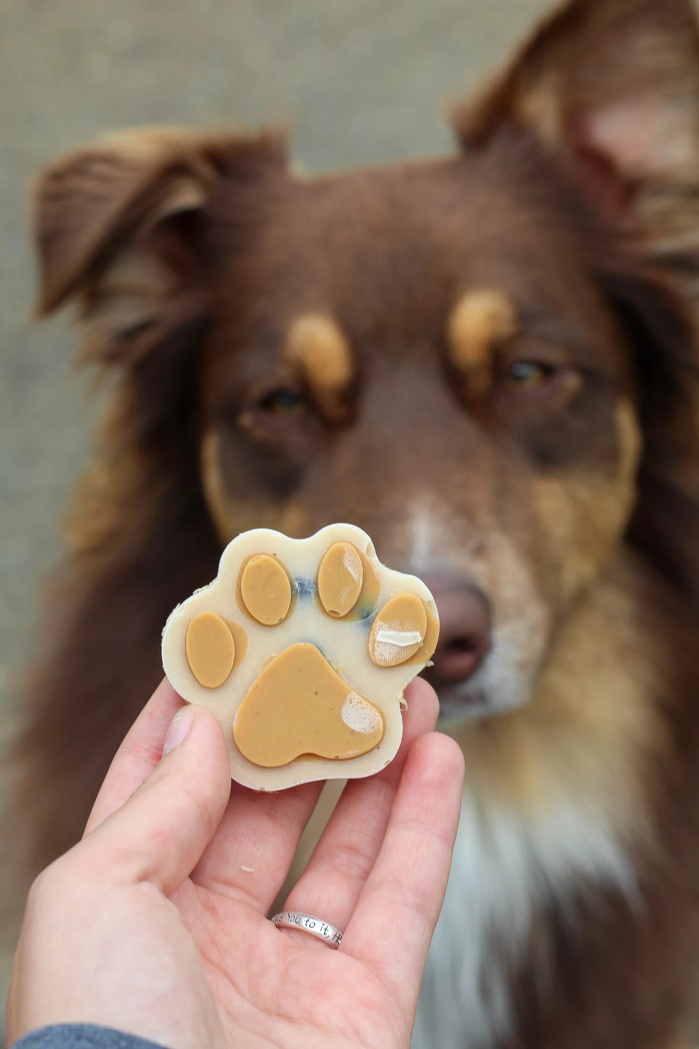 Peanut Butter & Strawberry Dog Popsicles