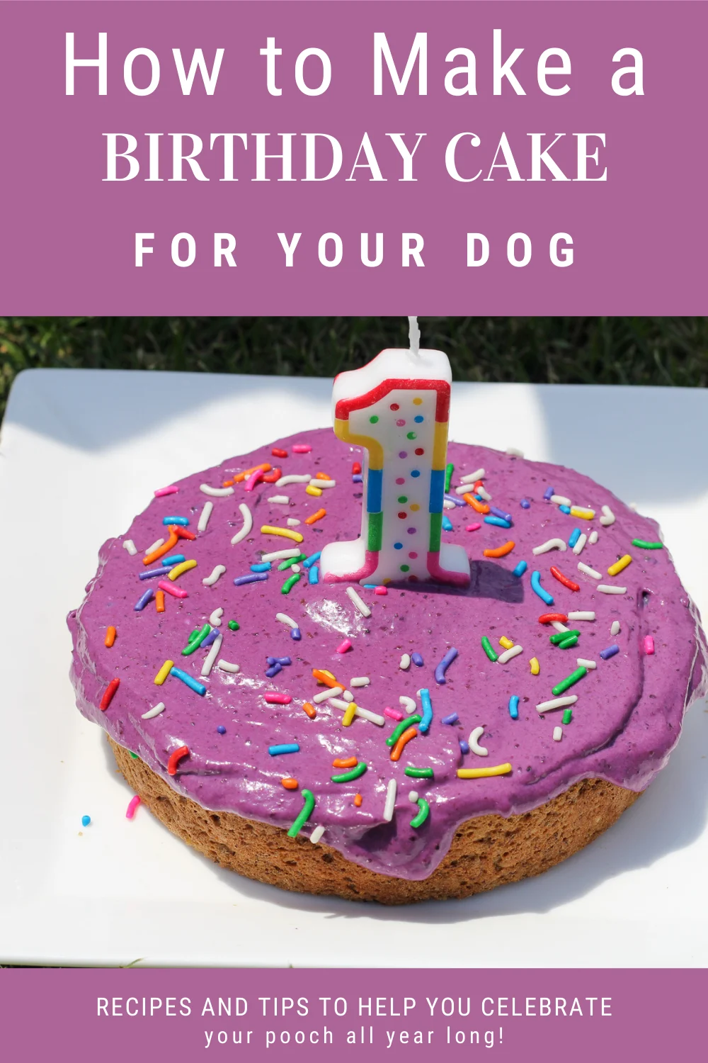 easy dog themed cake