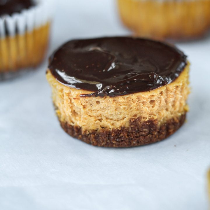 Chocolate Pumpkin Mini Cheesecakes