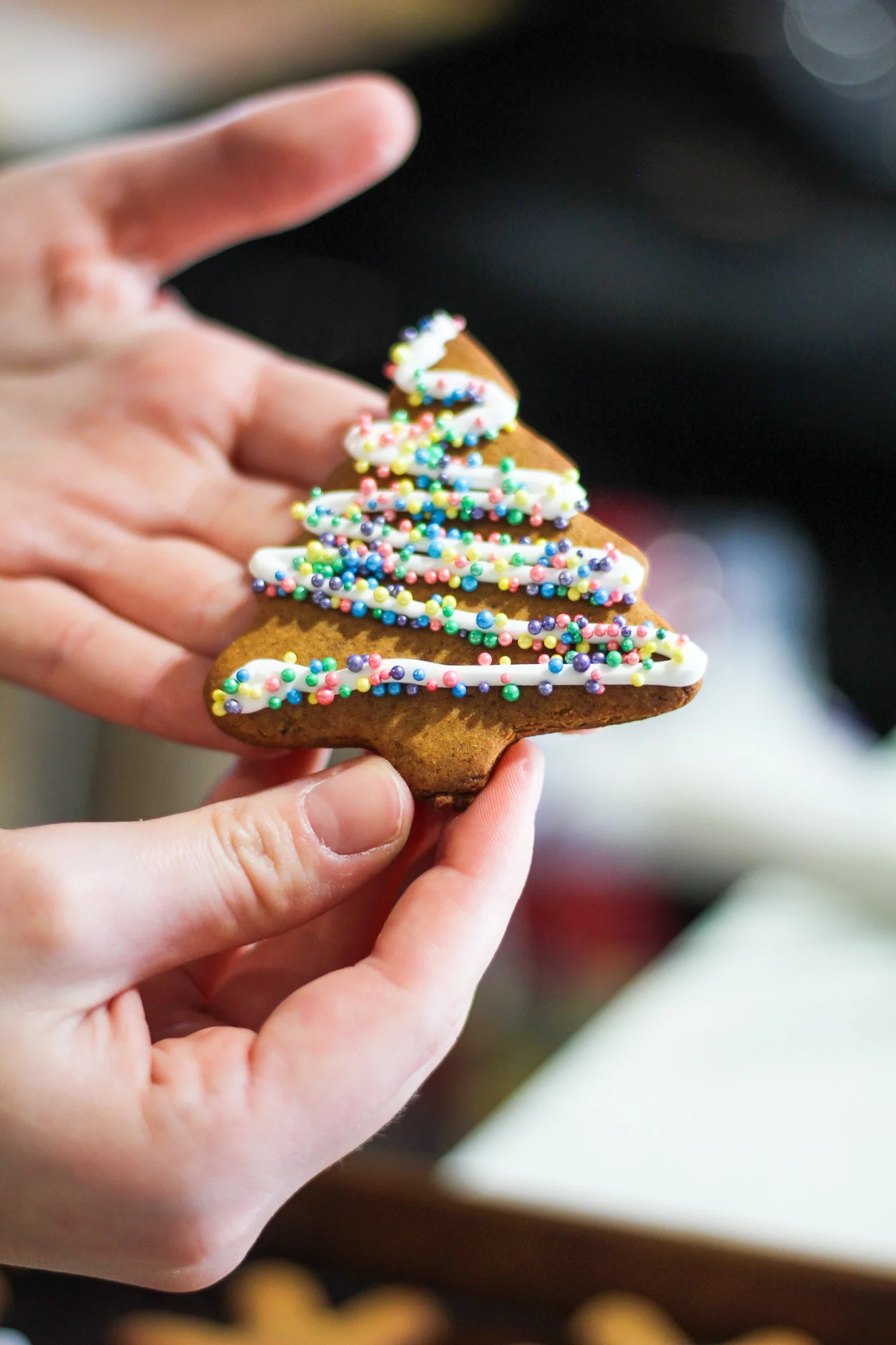 finished cookie with royal icing and sprinkles