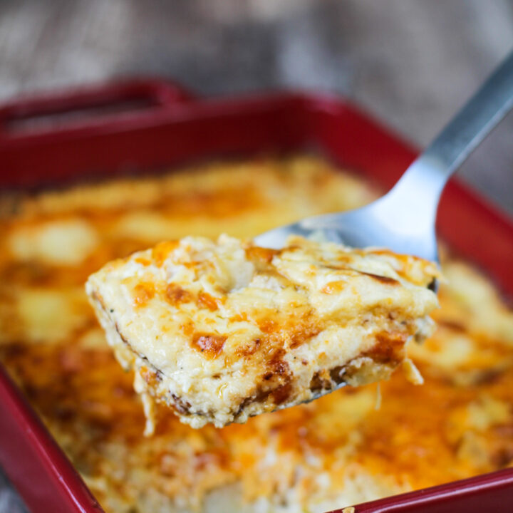 Easy Cheesy Scalloped Potaoes