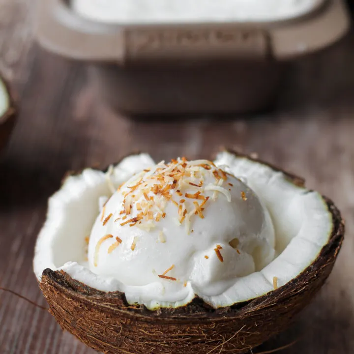 Easy Coconut Ice Cream