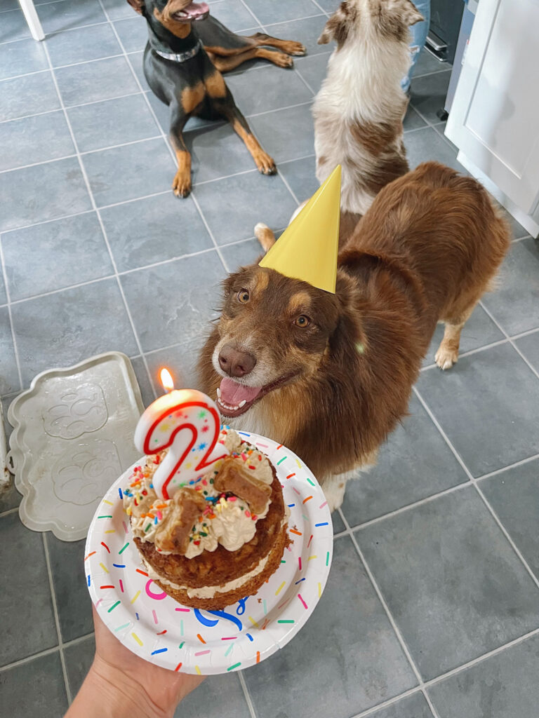 Homemade Apple Cinnamon and Cheddar Dog Cake