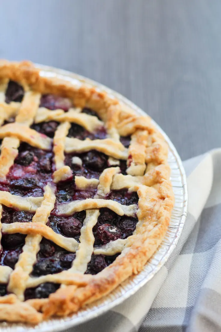 The Best Blueberry Pie - Jen Around the World