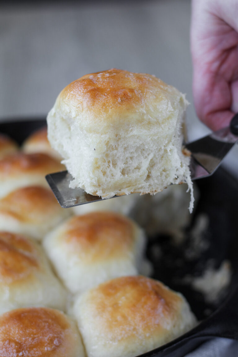 Sourdough Discard Dinner Rolls