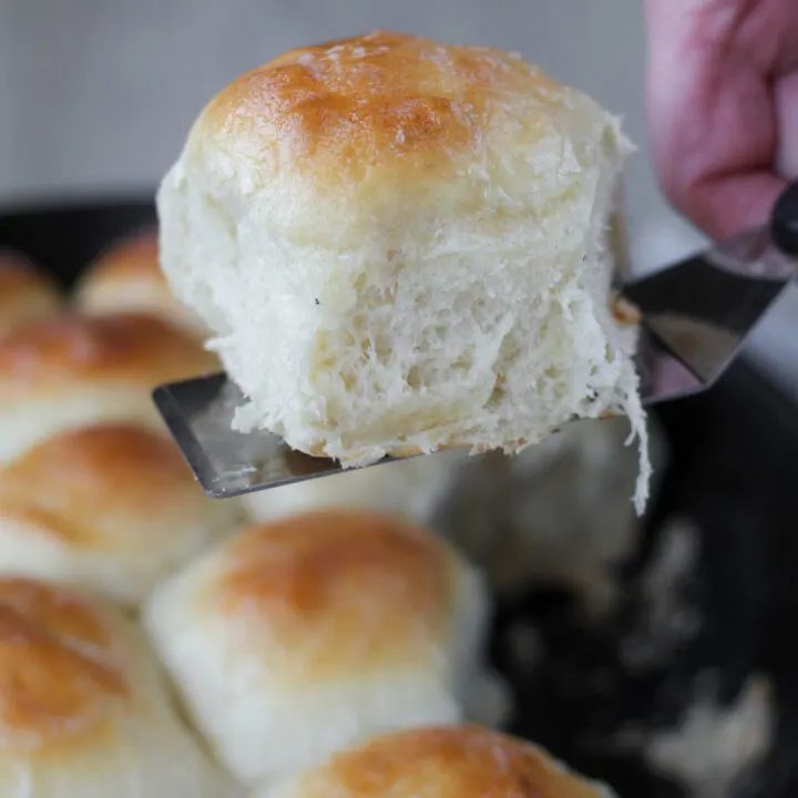 Sourdough Discard Dinner Rolls