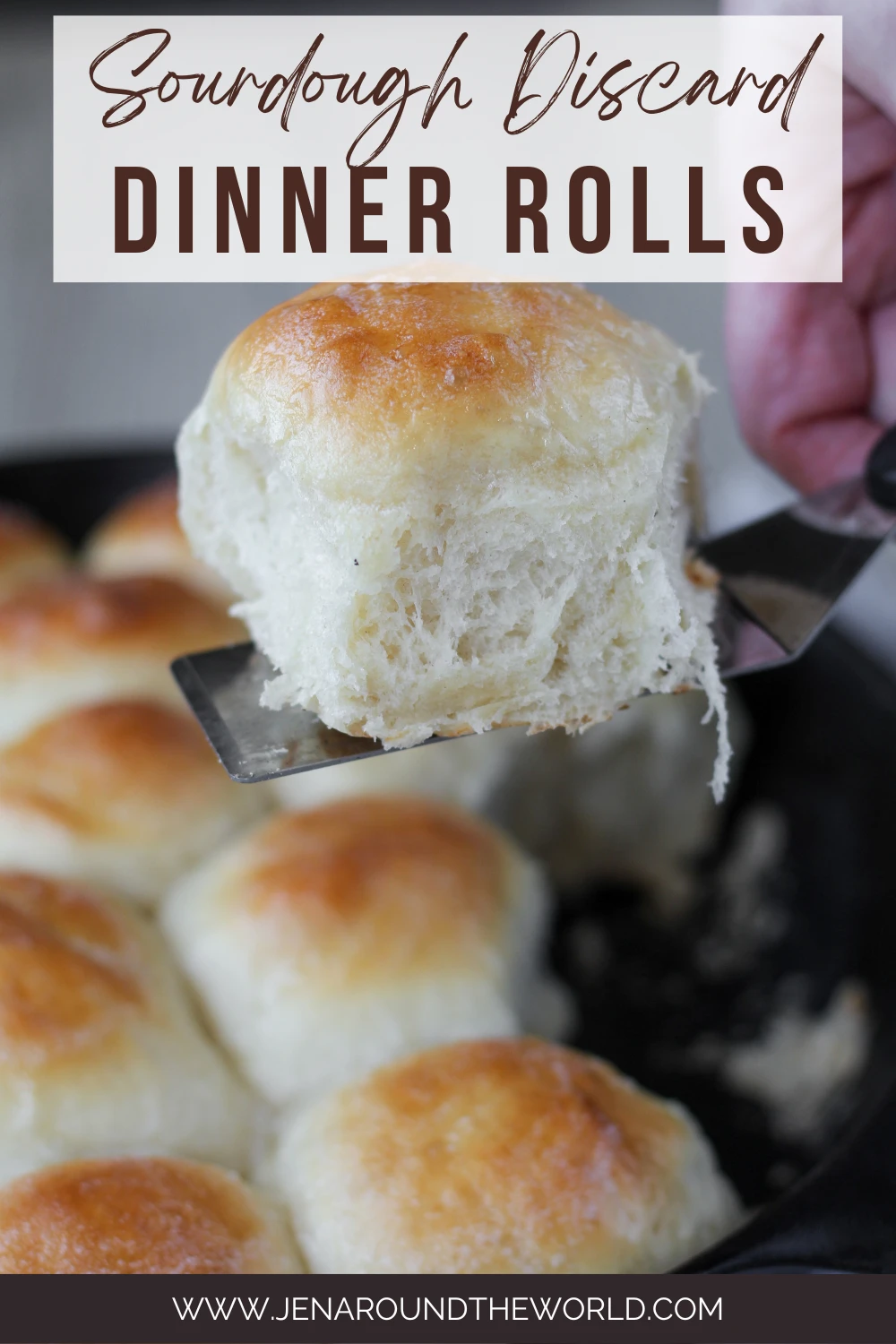 Sourdough Dinner Rolls - Country at Heart Recipes