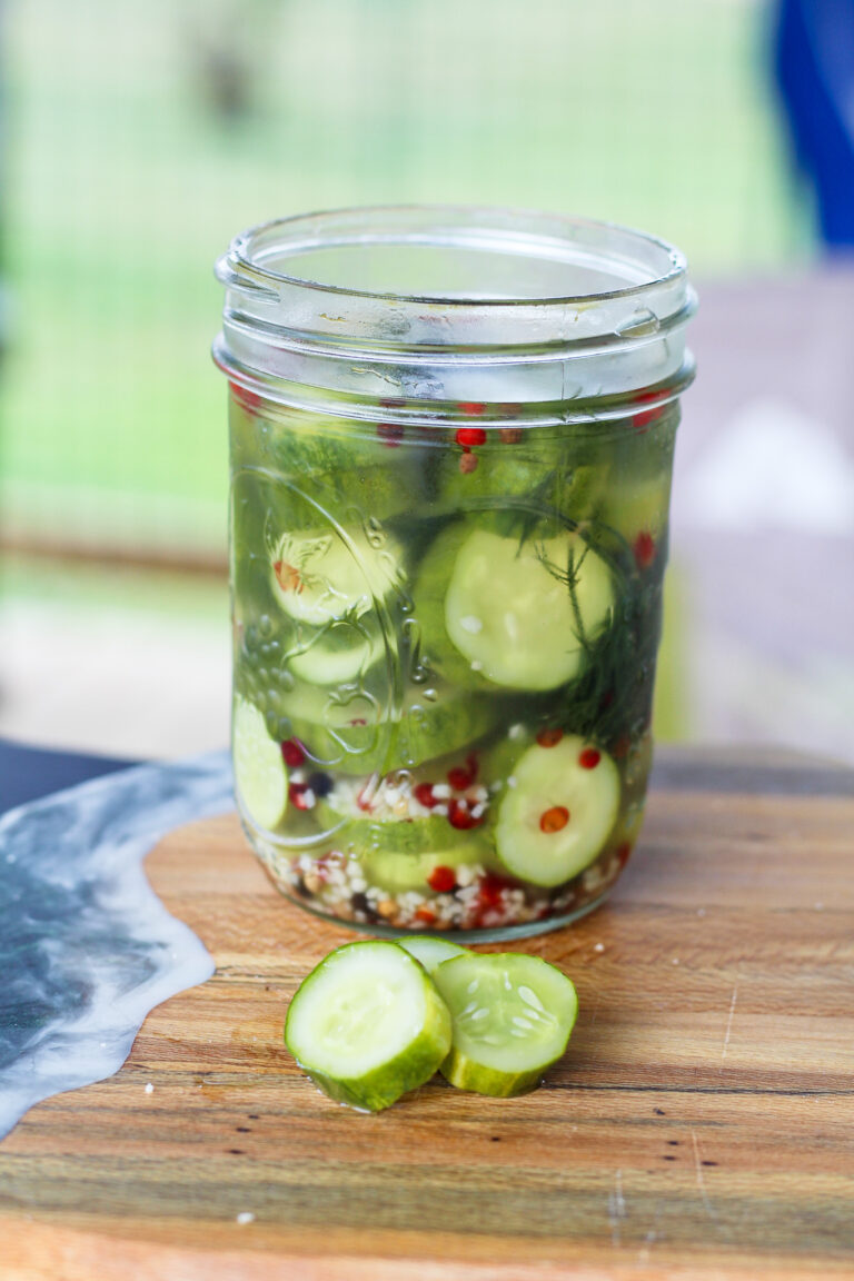 The Best Refrigerator Dill Pickles