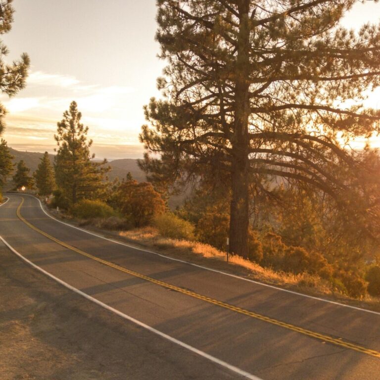 Family Road Trip Through California: Scenic Stops and Local Eats