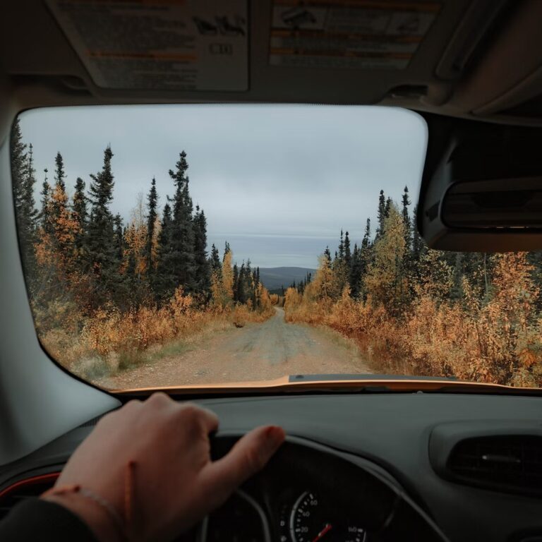 Travel Safely When Visiting Alaska With This Tip