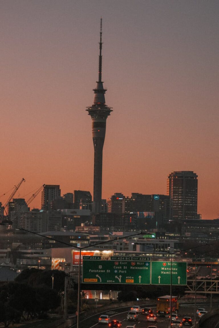 Top 5 Family-Friendly Road Trips from Auckland