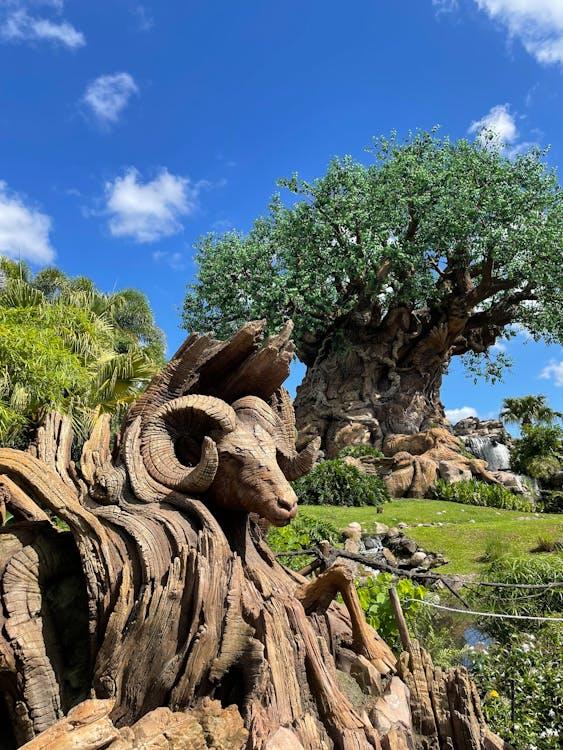 Best Theme Parks in Orlando, Florida