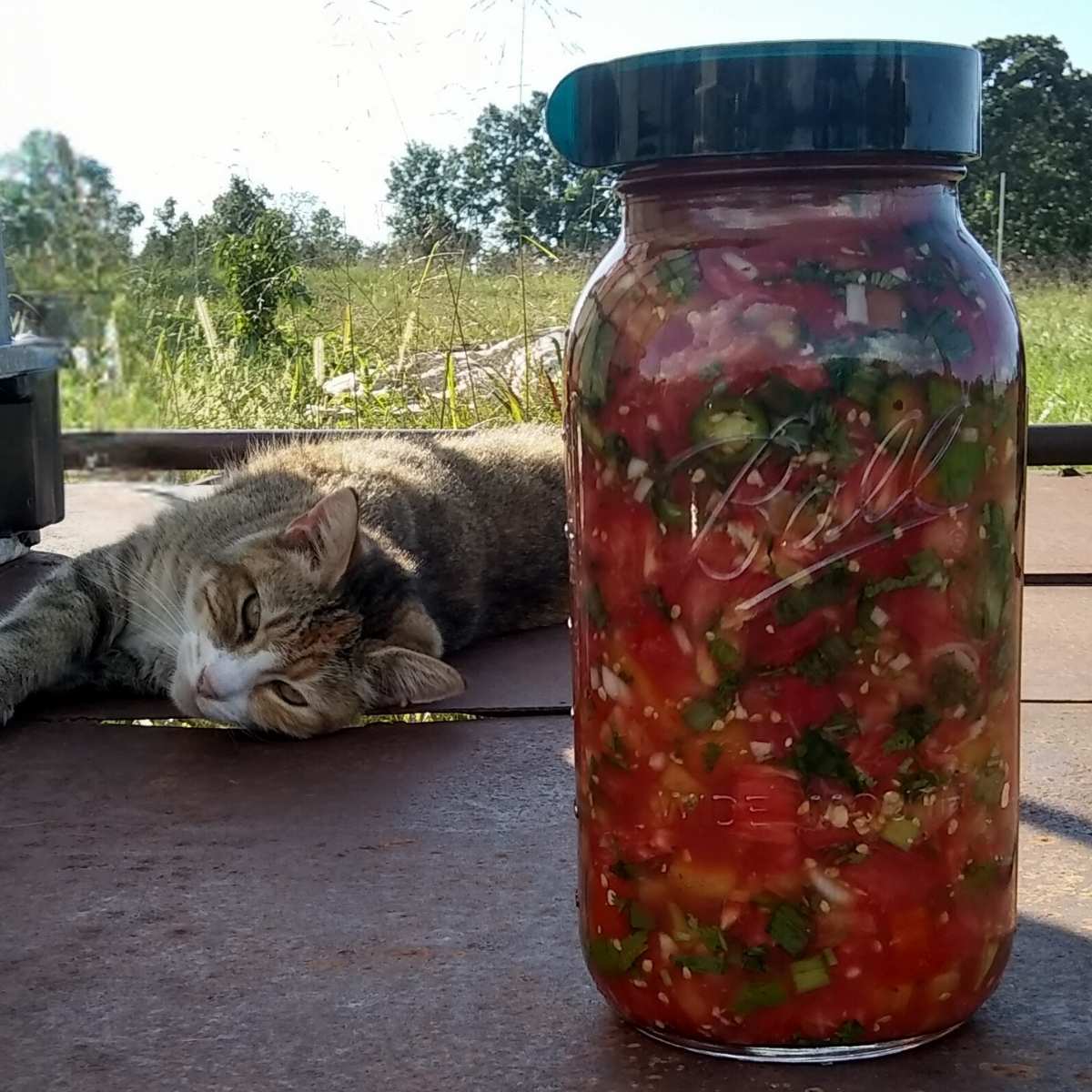 Image for Delicious fermented Salsa recipe - Lock up Summer in a jar!