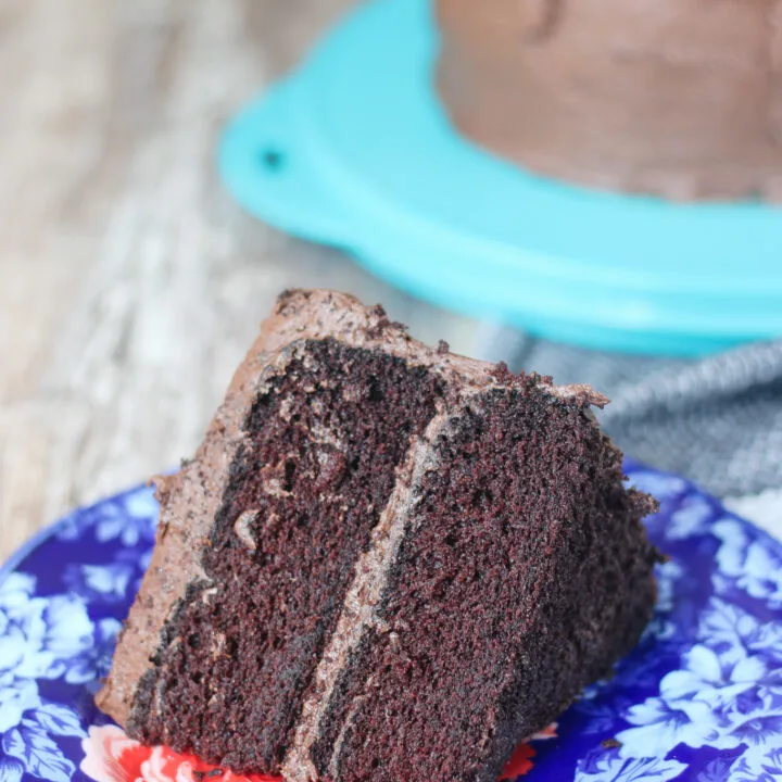 The Best Two Layer Chocolate Cake