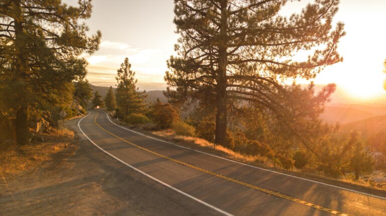 Family Road Trip Through California: Scenic Stops and Local Eats