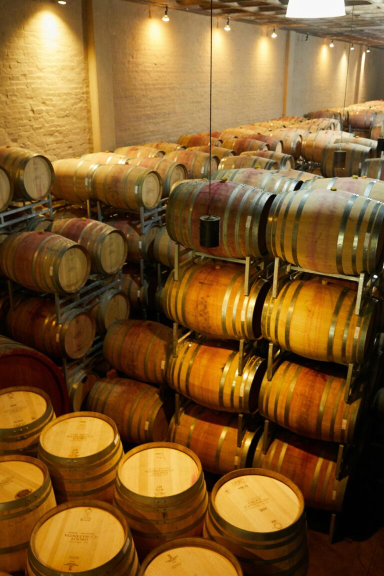 Winemaking 101: The Basic Equipment for Your First Batch